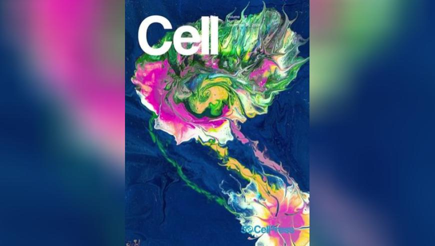 难哄爱的最高境界是心疼,期期公开验证买料论坛,社会责任方案执行_破例版V15.91