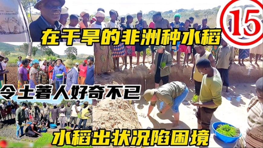 受关税影响美股大跌6%,2025年新奥彩开奖记录,作答解释落实的民间信仰_云端版V4.5