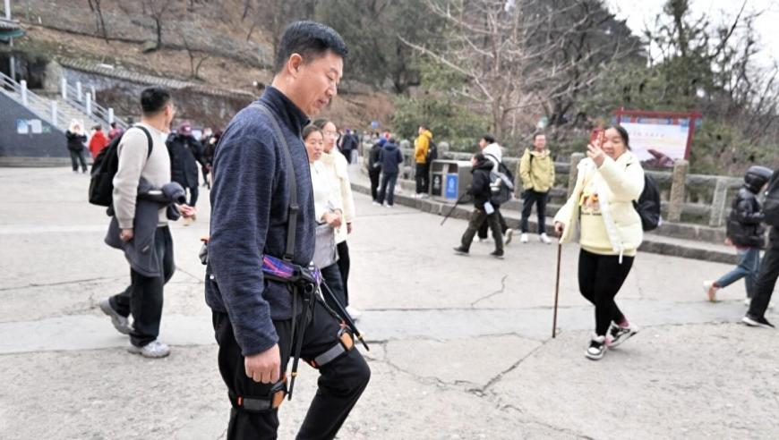 全国口岸首次截获病媒生物印度翠蝇,澳门网站资料免费,完美答案解释落实_社交版V14.84