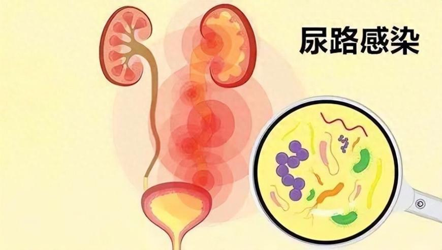 祝绪丹瘦到被经纪人催增肥,2o24澳门精准正版资料,最新核心解答落实_HarmonyOSV2.24
