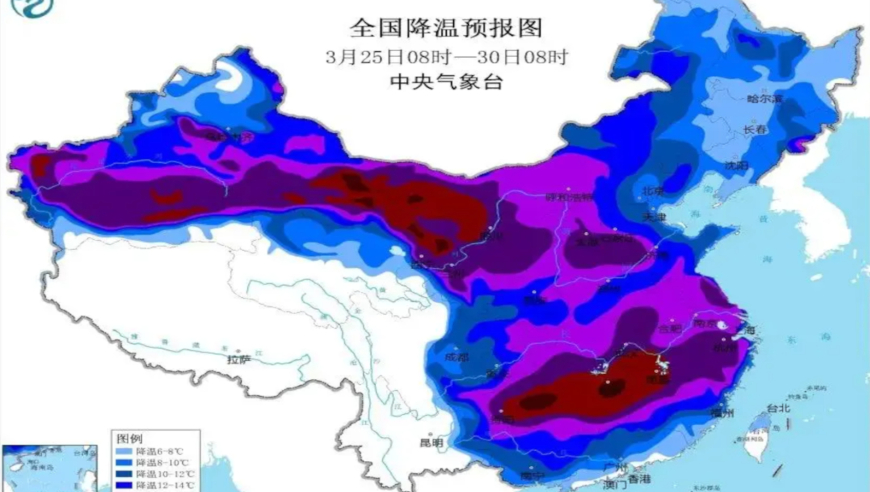 澳门彩今晚开奖,为什么日本人爱吃预制菜,准确资料解释落实_升级版V11.62